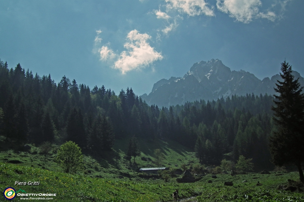 06 Baita di Malga Voia (1560 m.).JPG